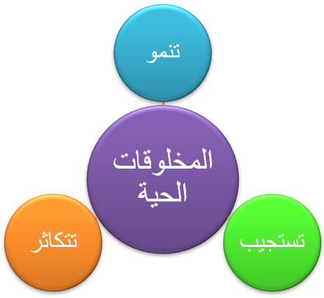 خصائص المخلوقات الحية خصائص المخلوقات الحية